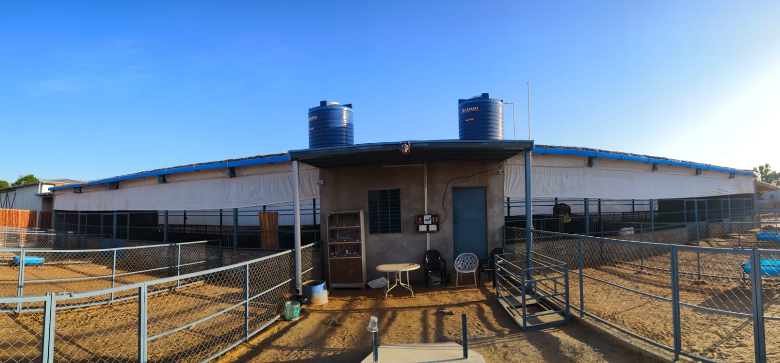 MBS Genetics Agro Farm facility — premium goat breeding center in Rajasthan